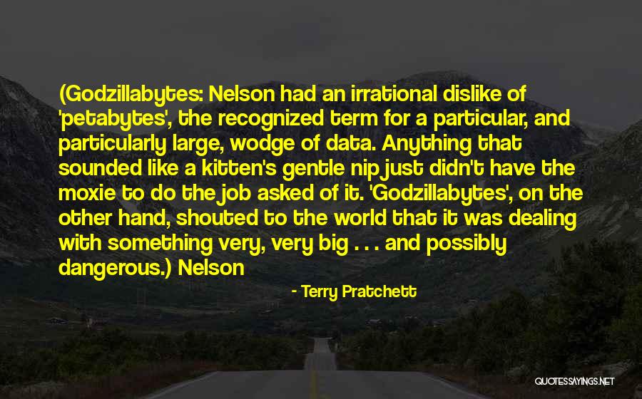 Petabytes Quotes By Terry Pratchett Petabytes Quotes By Terry Pratchett