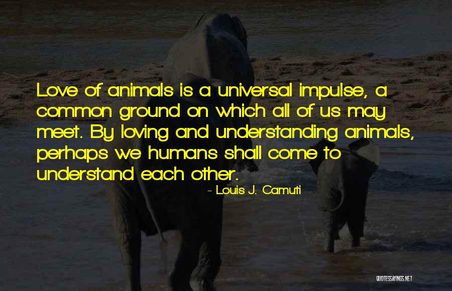 Petacchi Skin Quotes By Louis J. Camuti Petacchi Skin Quotes By Louis J. Camuti