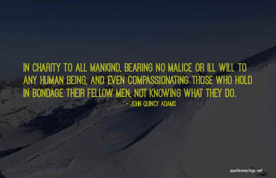Petaccios Driving School Quotes By John Quincy Adams Petaccios Driving School Quotes By John Quincy Adams