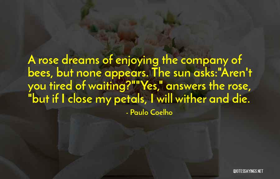 Petals Of Love Quotes By Paulo Coelho Petals Of Love Quotes By Paulo Coelho