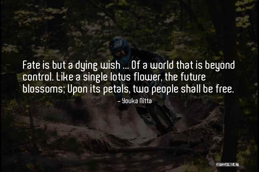 Petals Of Love Quotes By Youka Nitta Petals Of Love Quotes By Youka Nitta