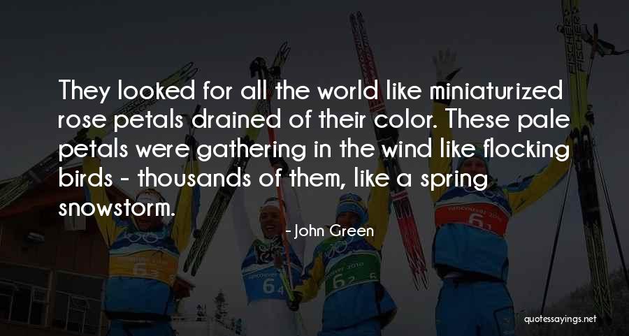 Petals On The Wind Quotes By John Green Petals On The Wind Quotes By John Green
