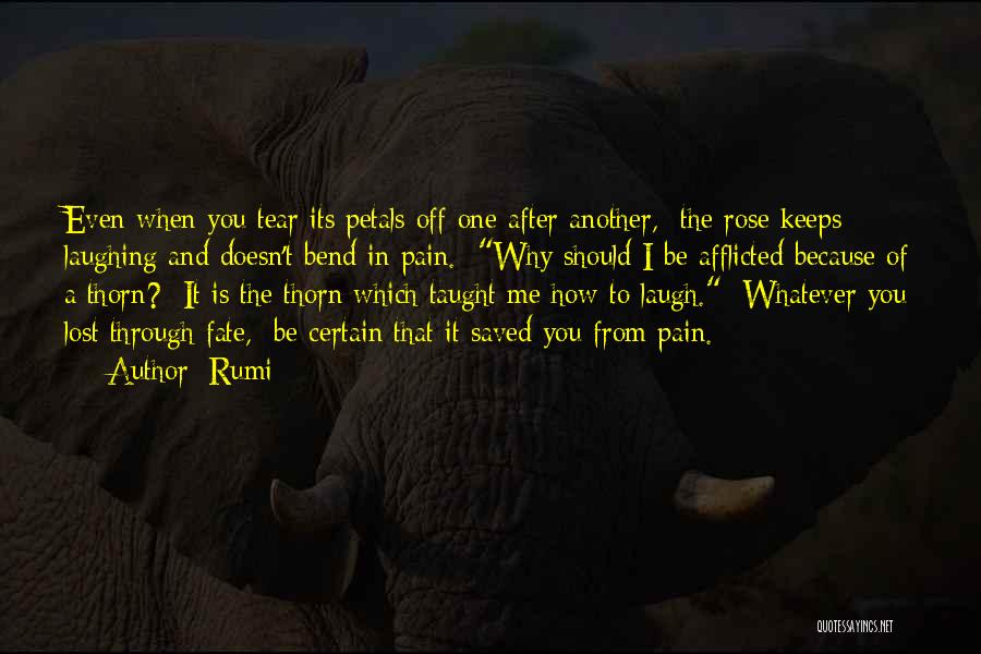 Petals Quotes By Rumi