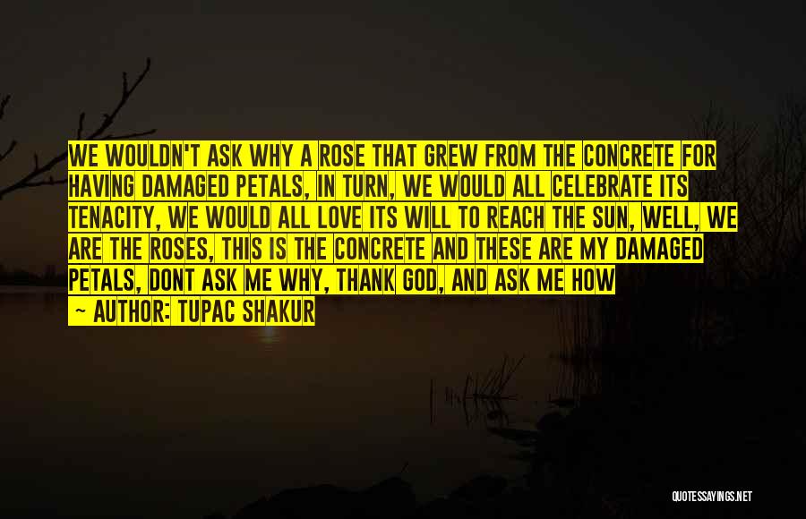 Petals Quotes By Tupac Shakur