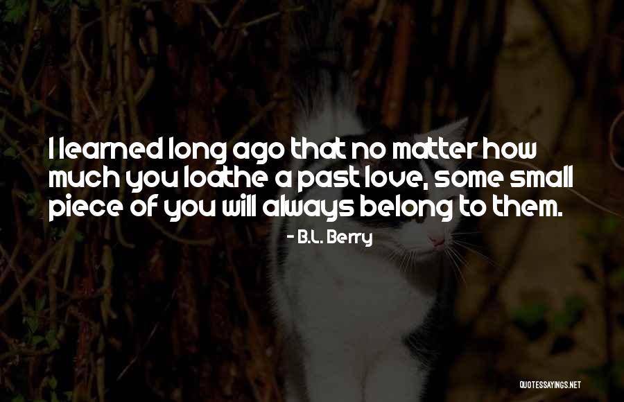 Petardo Significado Quotes By B.L. Berry Petardo Significado Quotes By B.L. Berry