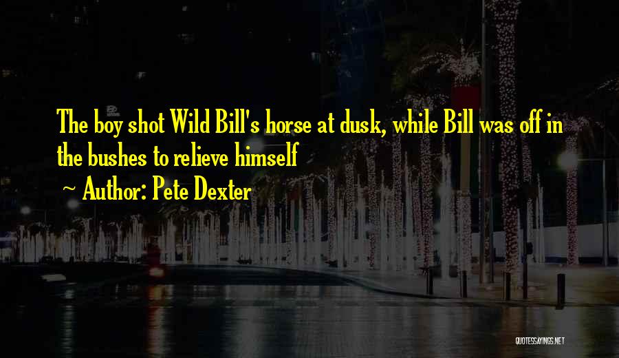 Pete Dexter Quotes 2152831 Pete Dexter Quotes 2152831
