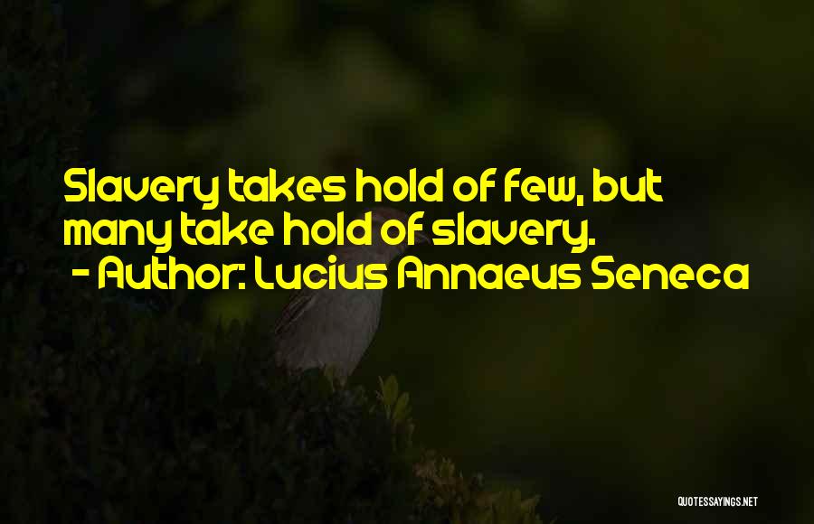 Pete Doherty Carl Barat Quotes By Lucius Annaeus Seneca