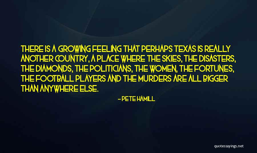 Pete Hamill Quotes 1465313