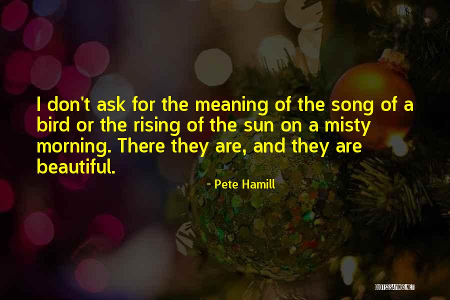 Pete Hamill Quotes 1718013