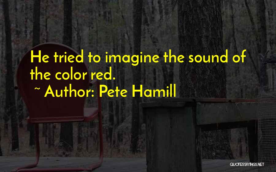 Pete Hamill Quotes 2161135