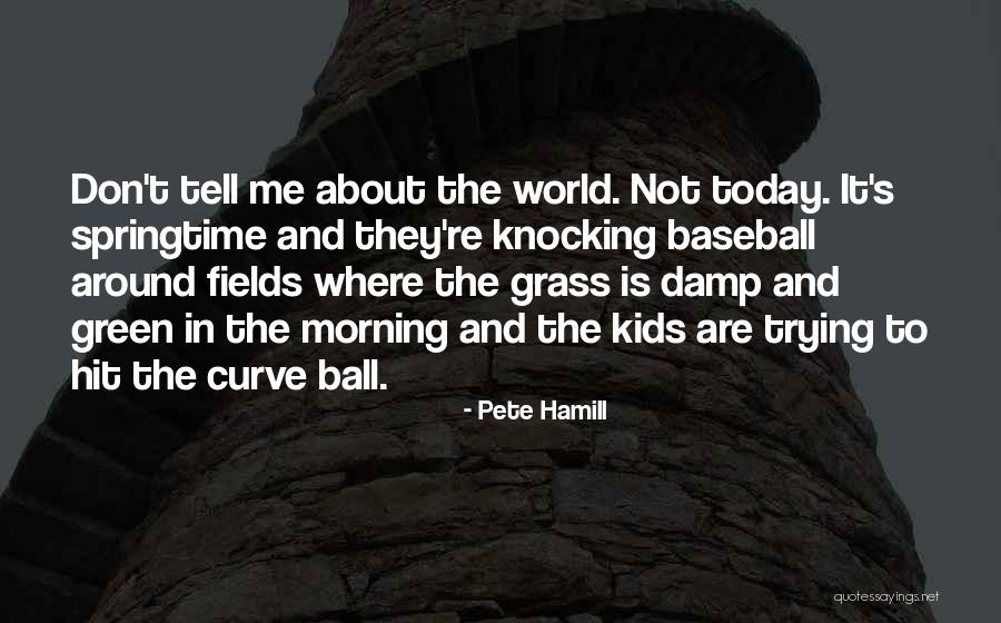 Pete Hamill Quotes 334742