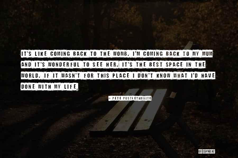 Pete Postlethwaite Quotes 1588788 Pete Postlethwaite Quotes 1588788