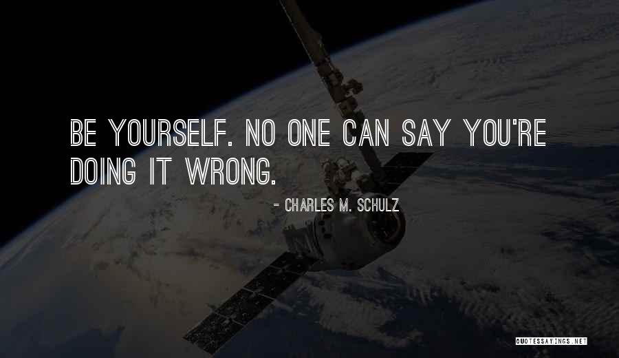 Pete Seeger Recycle Quotes By Charles M. Schulz