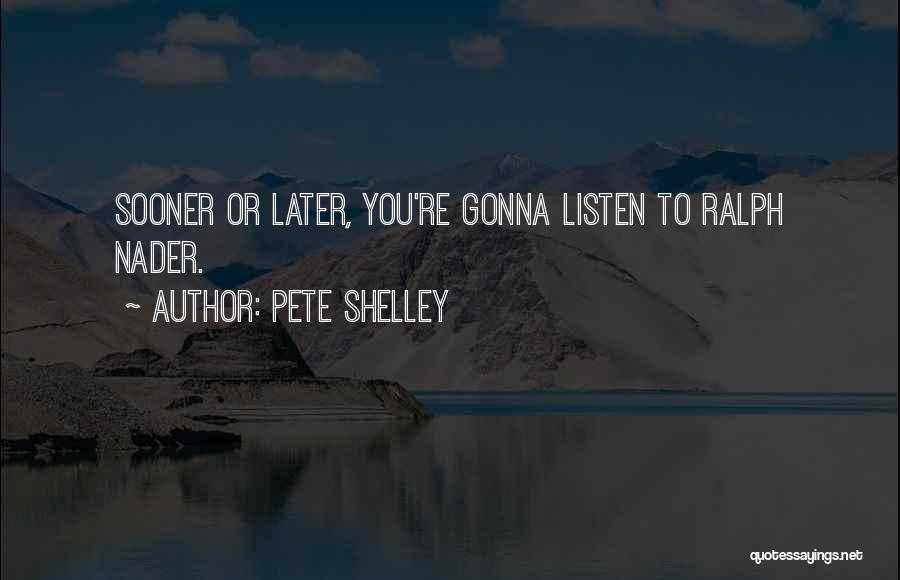 Pete Shelley Quotes 1248142
