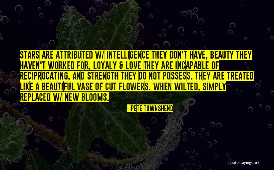 Pete Townshend Quotes 1291747 Pete Townshend Quotes 1291747
