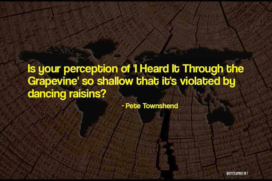 Pete Townshend Quotes 1443283 Pete Townshend Quotes 1443283