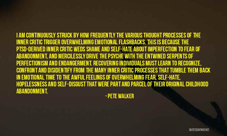 Pete Walker Quotes 546444