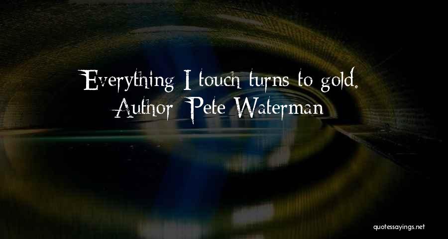 Pete Waterman Quotes 463825