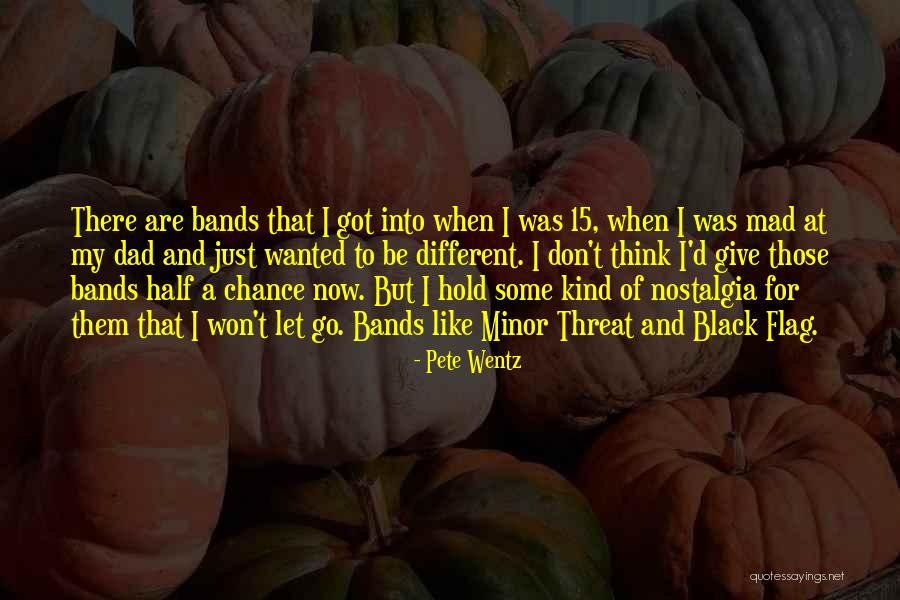 Pete Wentz Quotes 133522