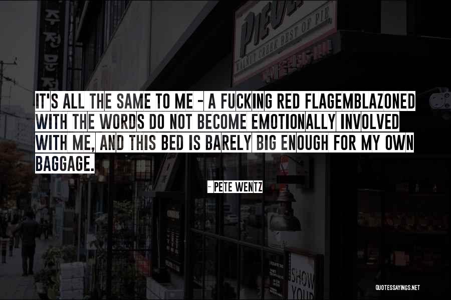 Pete Wentz Quotes 1825425