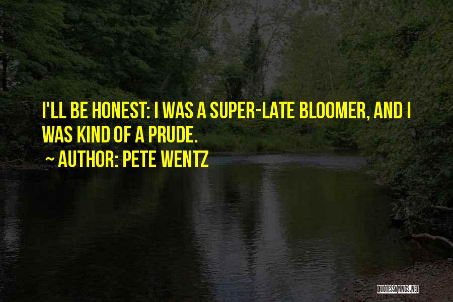 Pete Wentz Quotes 396592