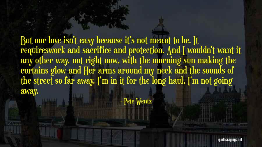 Pete Wentz Quotes 442618