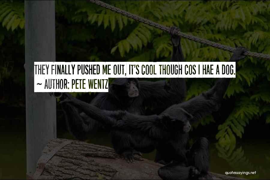 Pete Wentz Quotes 598779