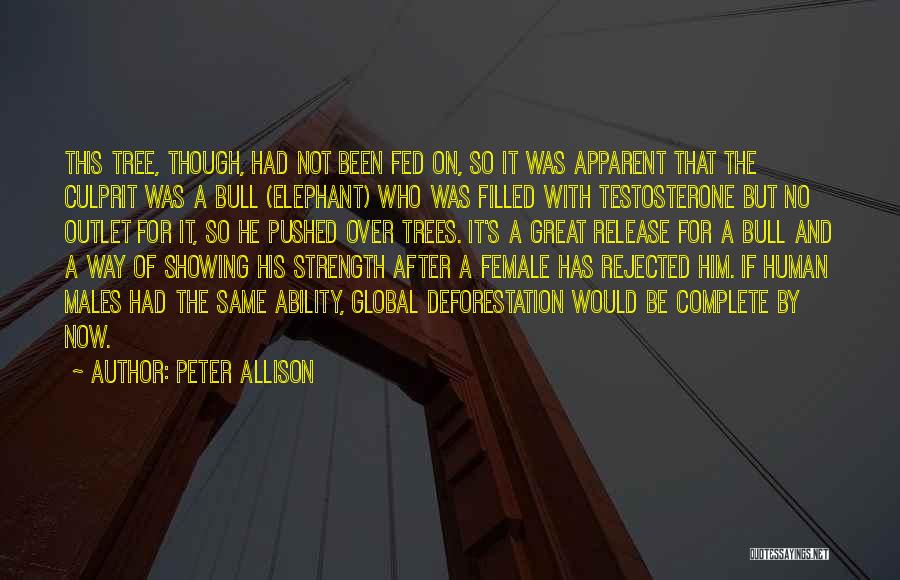 Peter Allison Quotes 116058