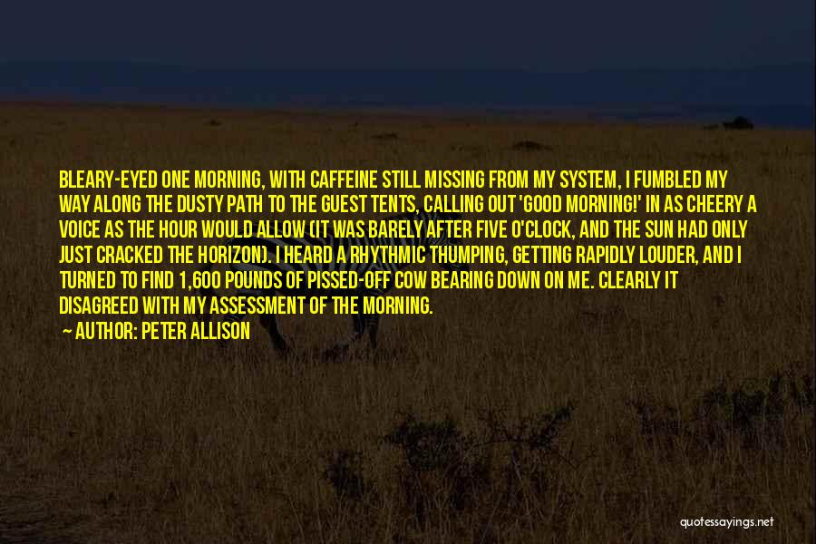 Peter Allison Quotes 2215632
