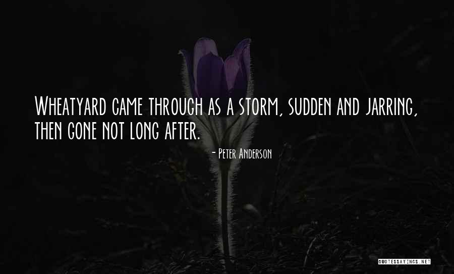 Peter Anderson Quotes 383803 Peter Anderson Quotes 383803