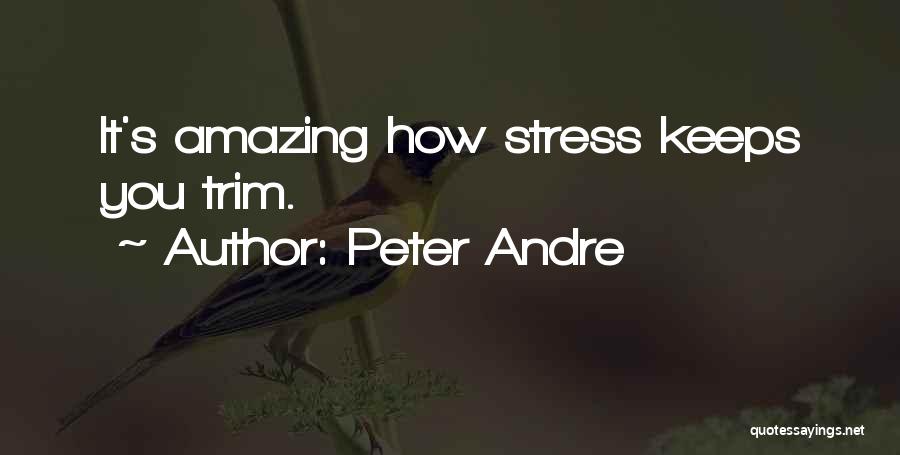 Peter Andre Quotes 331332