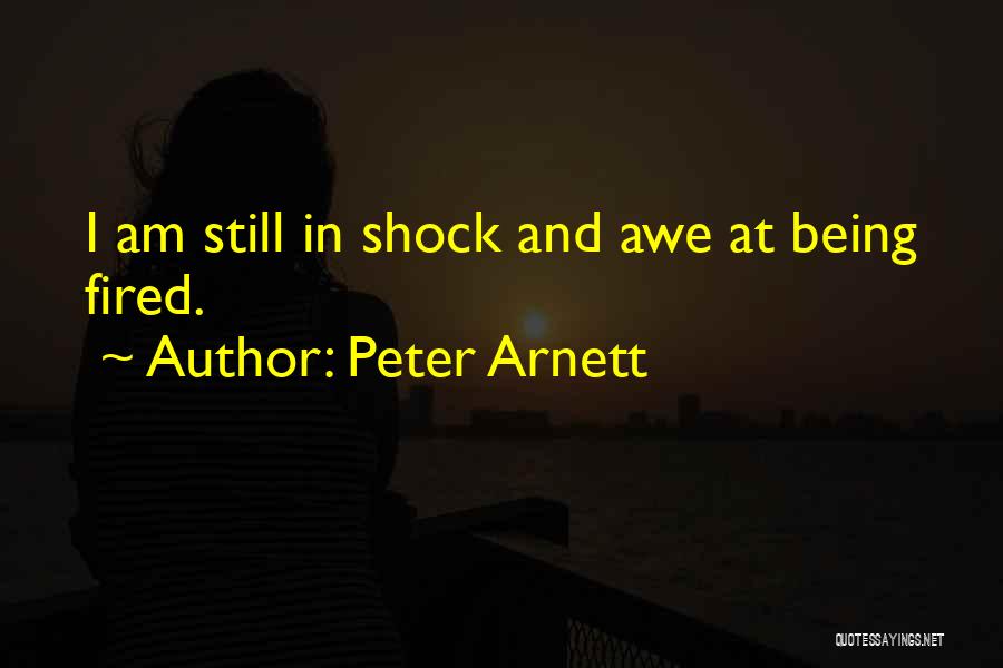 Peter Arnett Quotes 1281695