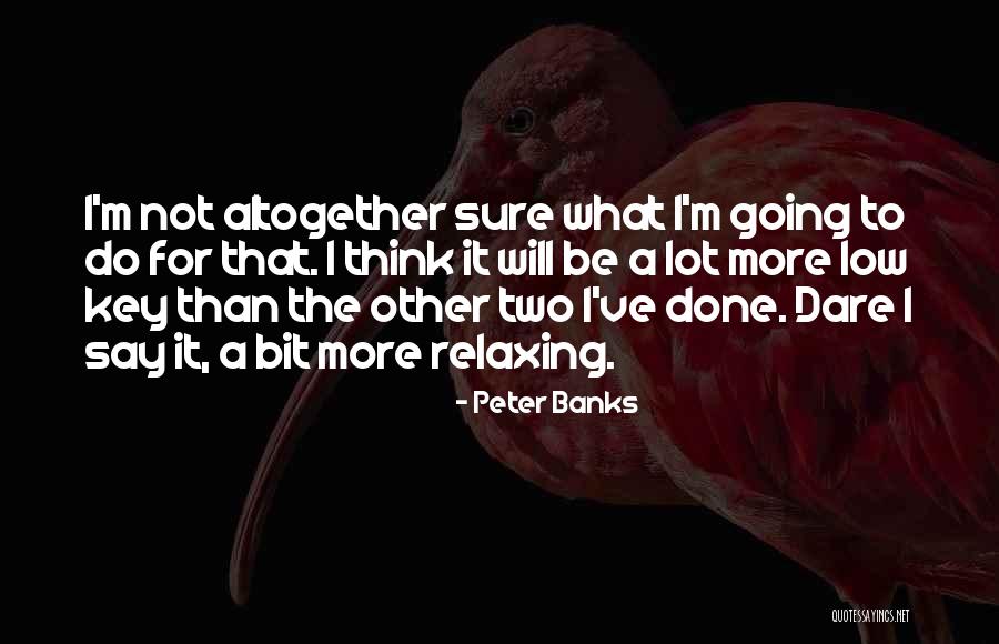 Peter Banks Quotes 1625737