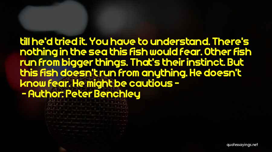 Peter Benchley Quotes 1596677