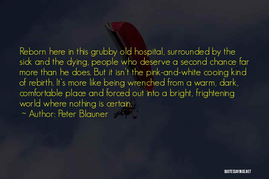 Peter Blauner Quotes 1779097