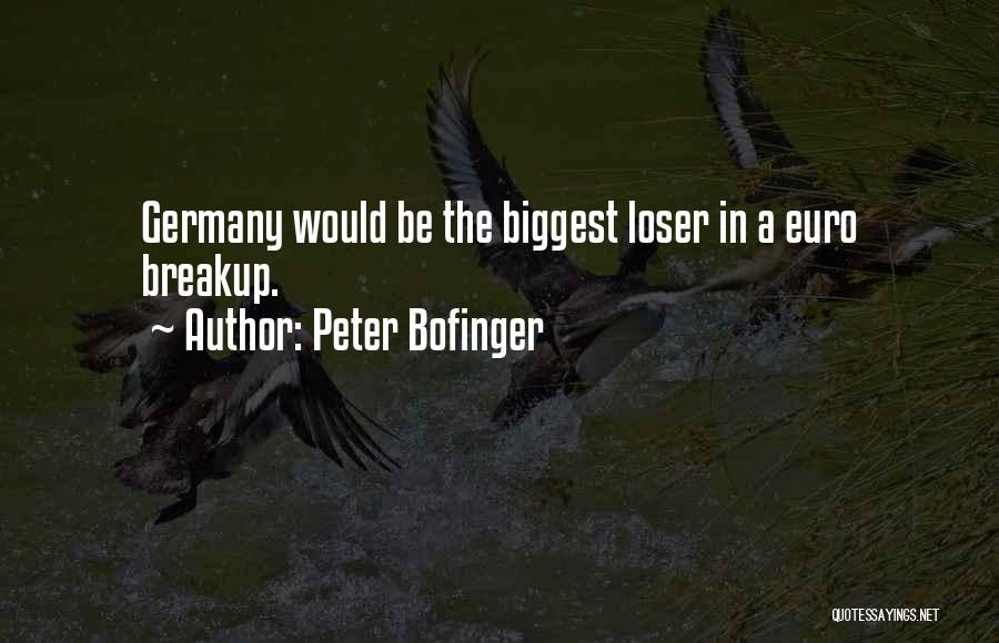 Peter Bofinger Quotes 1331420