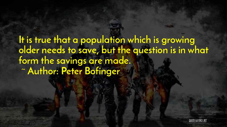 Peter Bofinger Quotes 181433