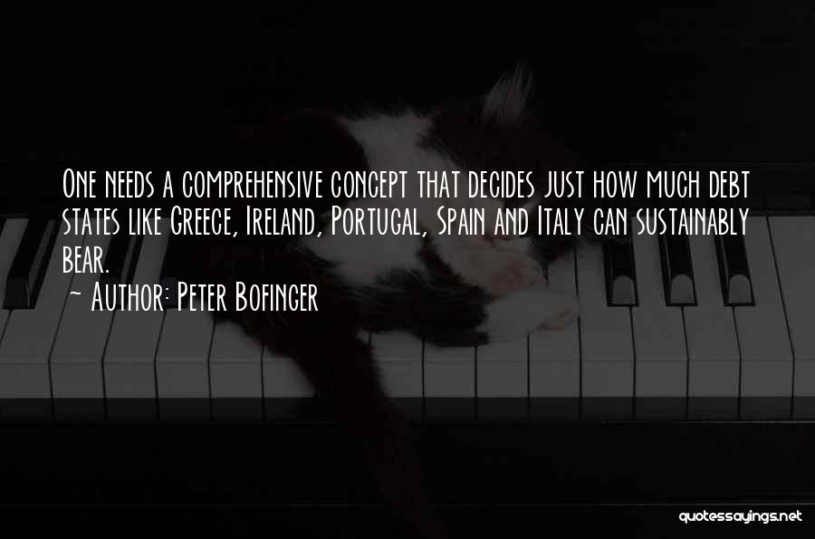 Peter Bofinger Quotes 661020