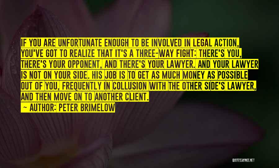 Peter Brimelow Quotes 1825497