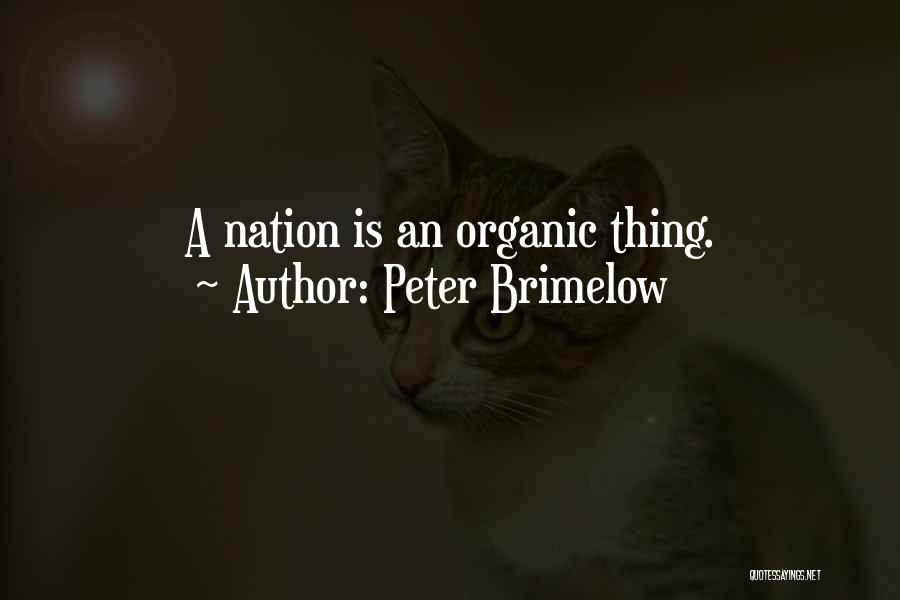 Peter Brimelow Quotes 943360