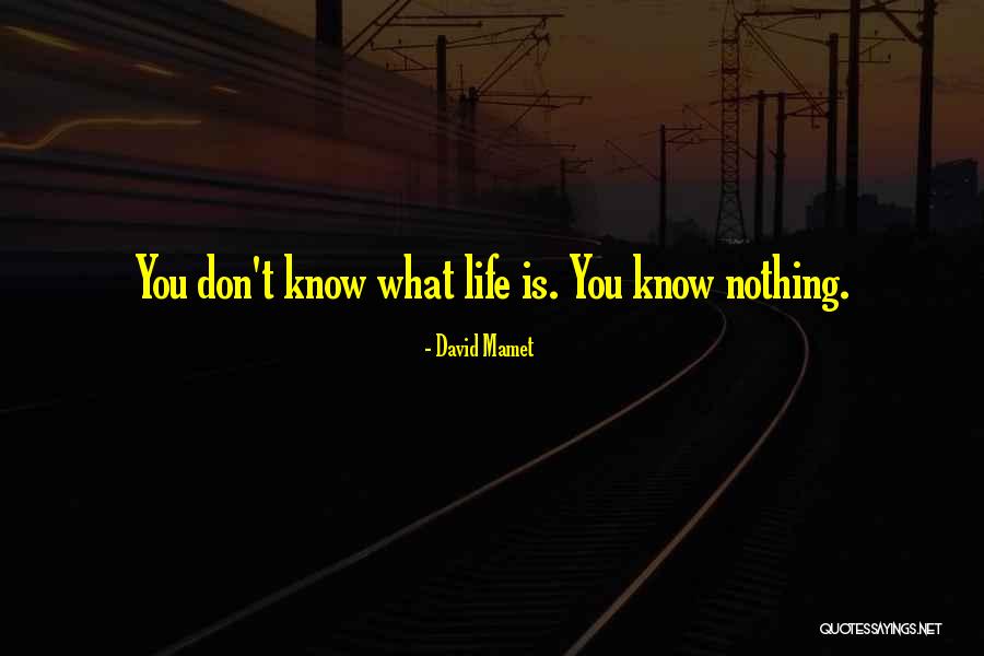 Peter Brook Empty Space Quotes By David Mamet