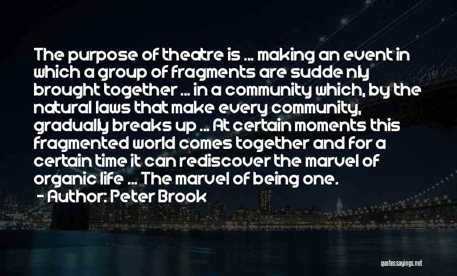 Peter Brook Quotes 1141193