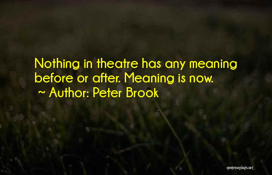 Peter Brook Quotes 2120390