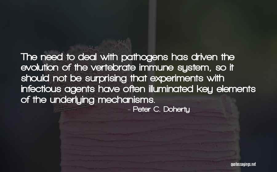 Peter C. Doherty Quotes 1513795