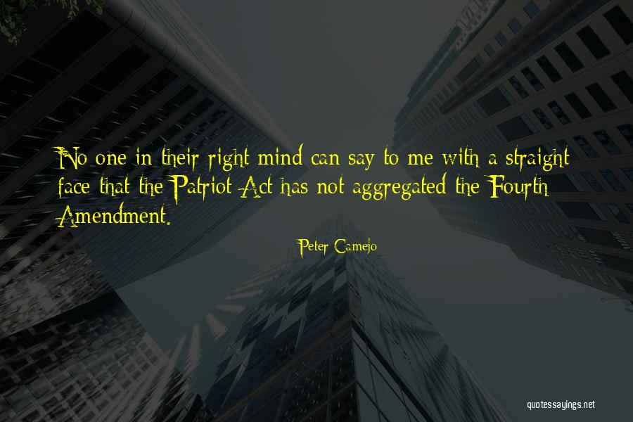 Peter Camejo Quotes 178307