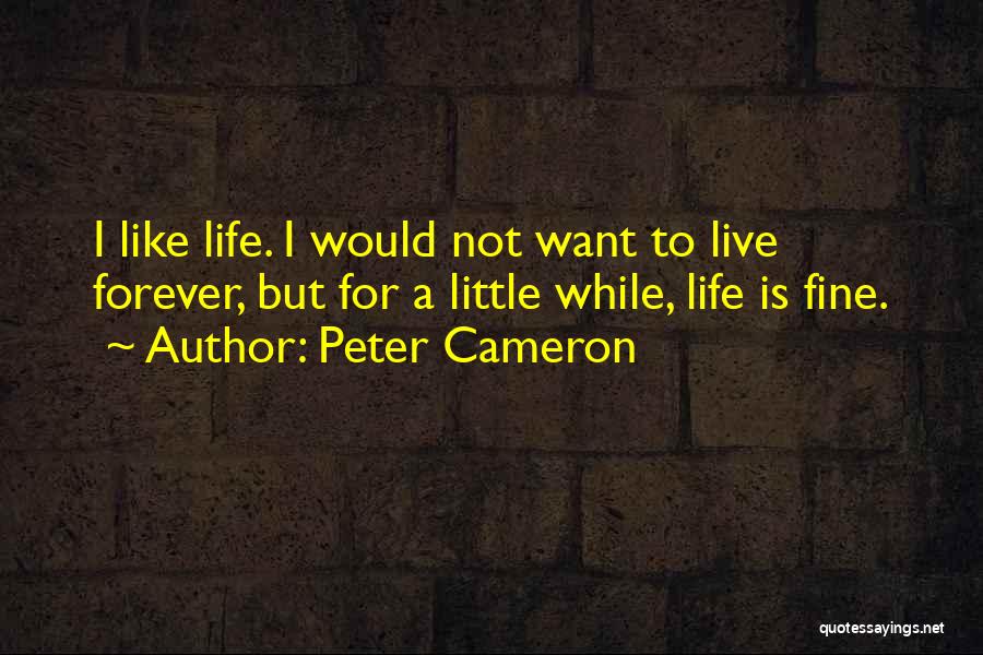 Peter Cameron Quotes 1398776