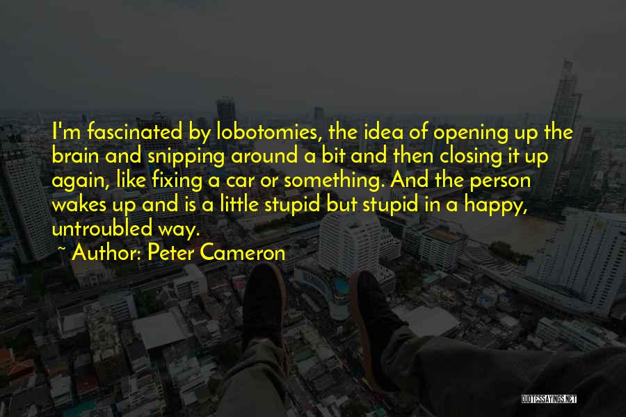 Peter Cameron Quotes 1622536