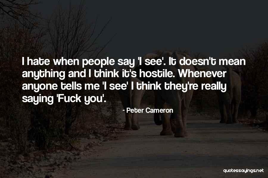 Peter Cameron Quotes 1716713