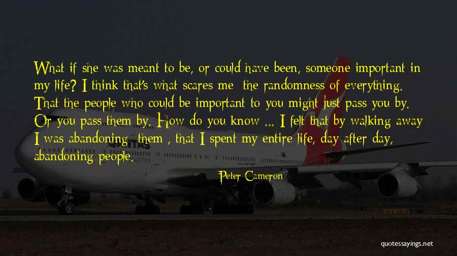 Peter Cameron Quotes 171846 Peter Cameron Quotes 171846