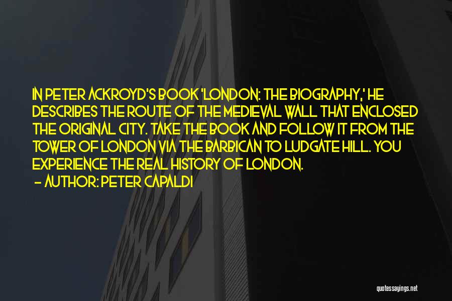 Peter Capaldi Quotes 801654